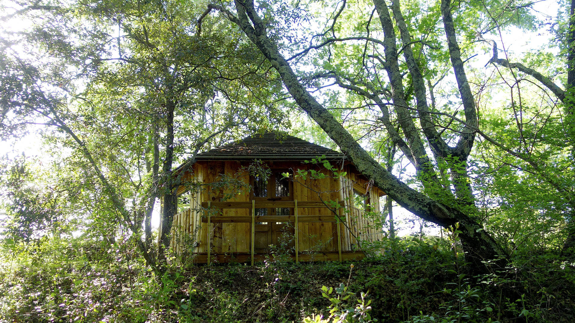 Cabane